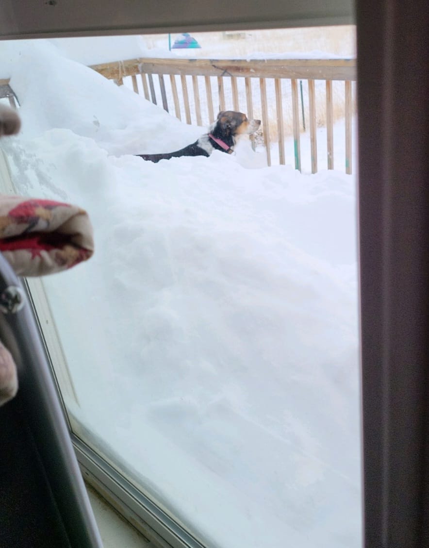 Mid December 2022 Montana and Wyoming Blizzard